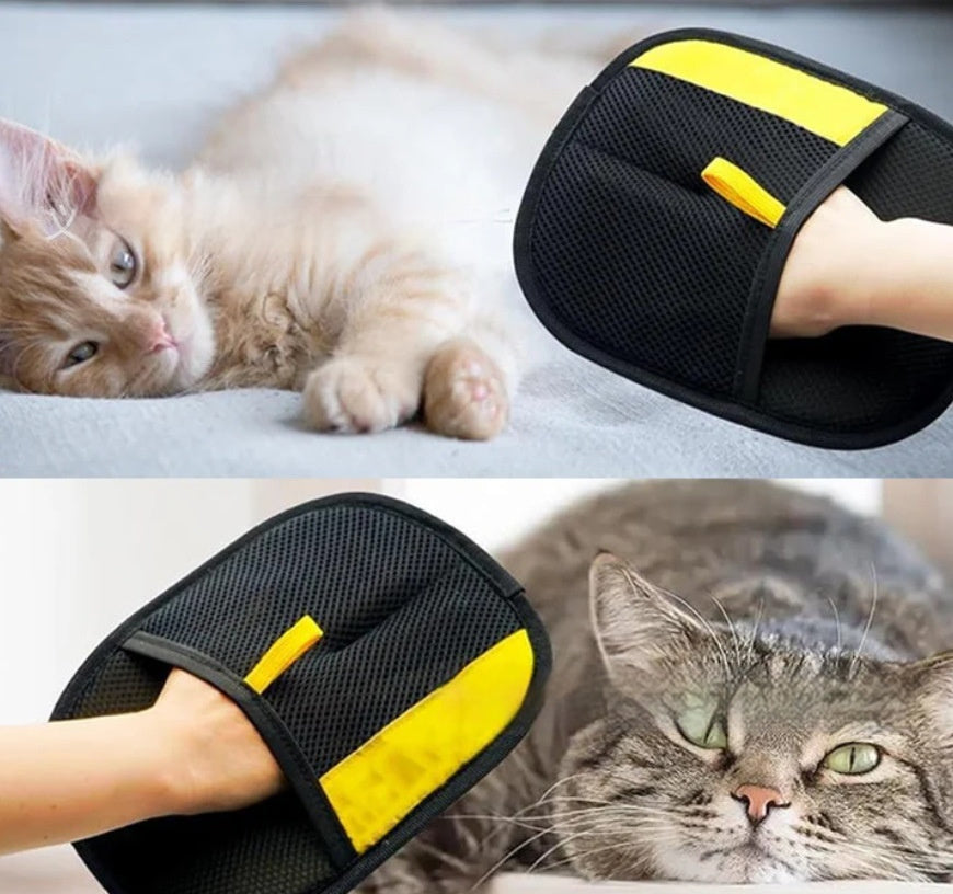 Cat hair cleaner artifact removing pet hair from sofa fabric