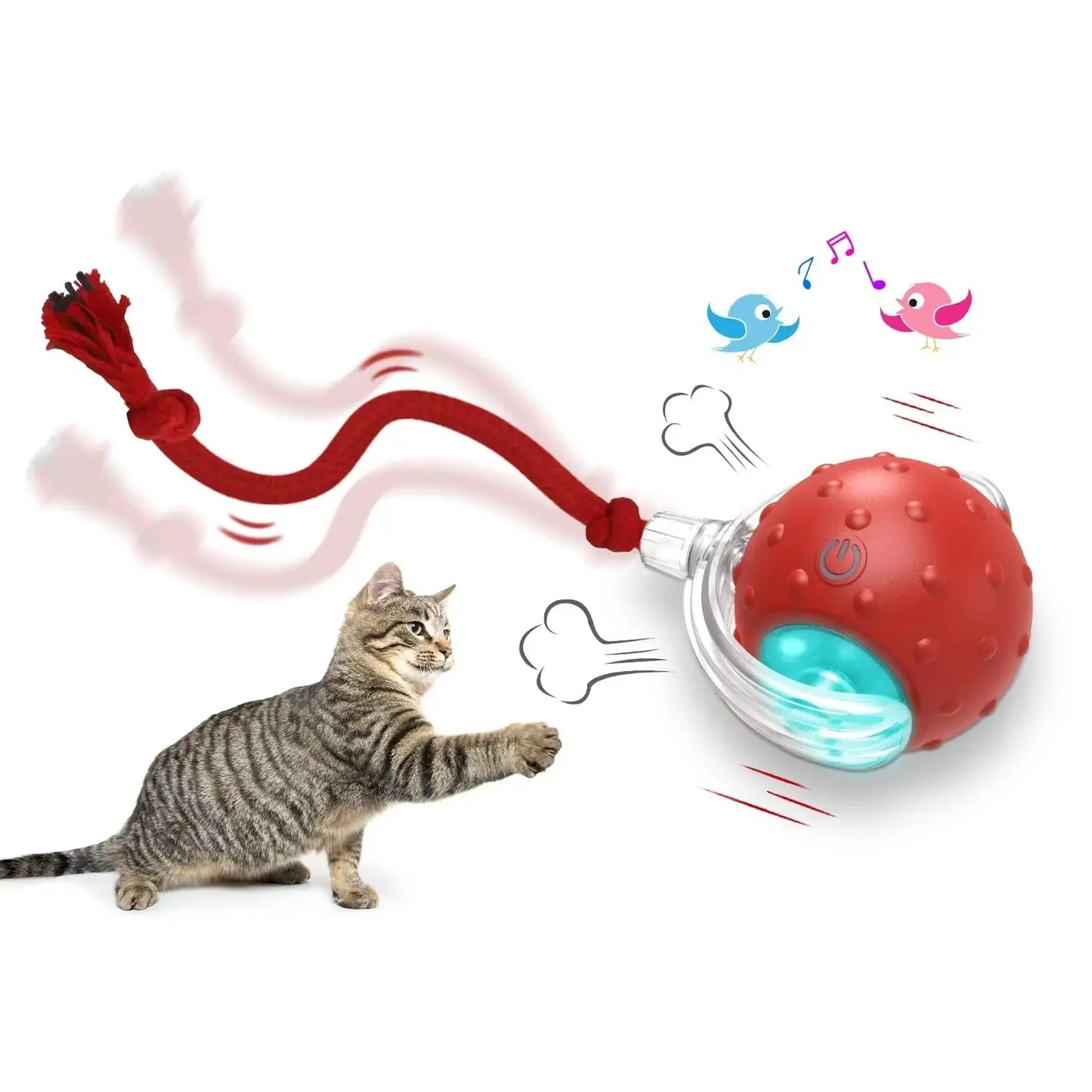 Cat toy with a red ball and string, featuring a cat interacting with it on a white background.