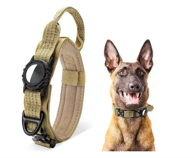 Dog Collars