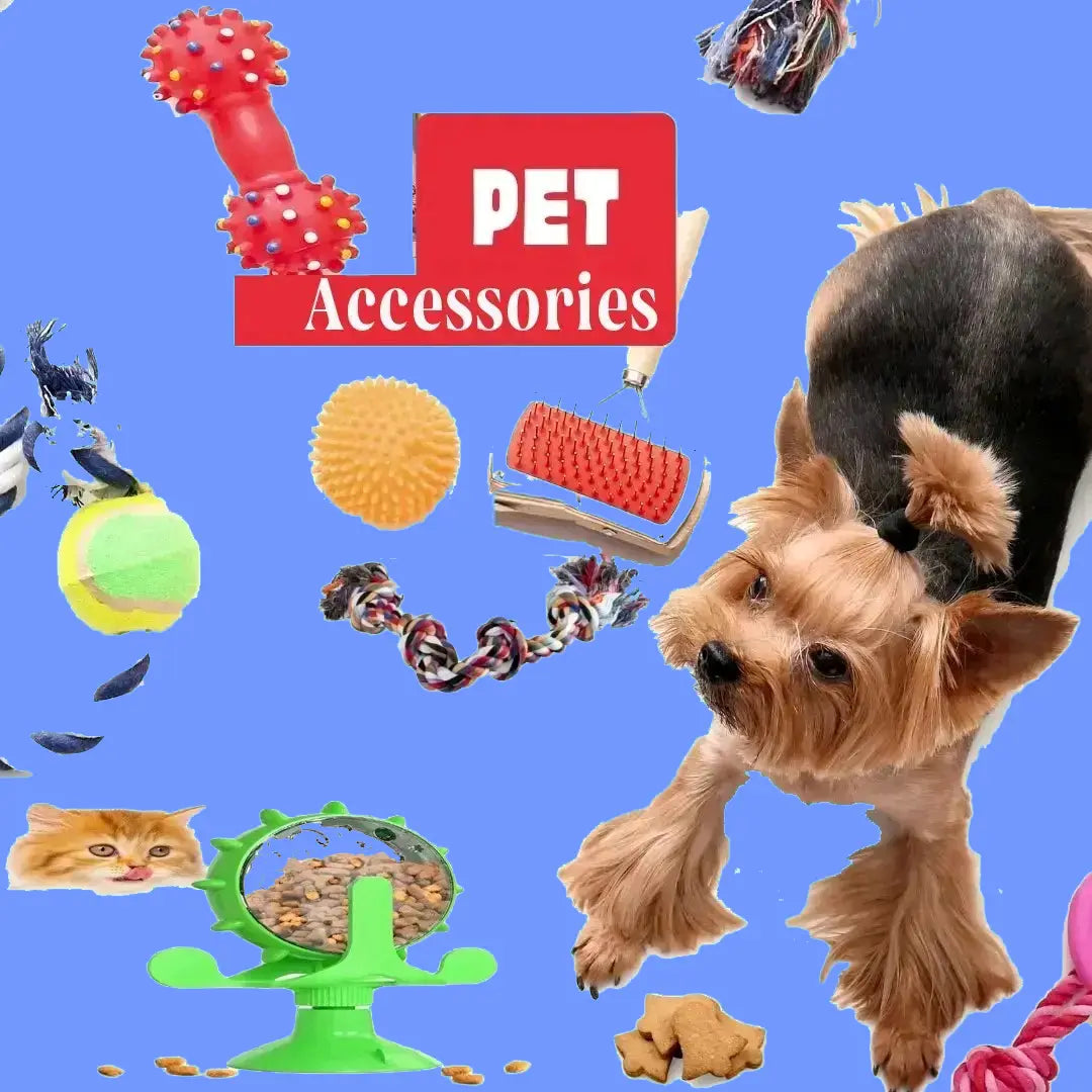 Accessories & Gear