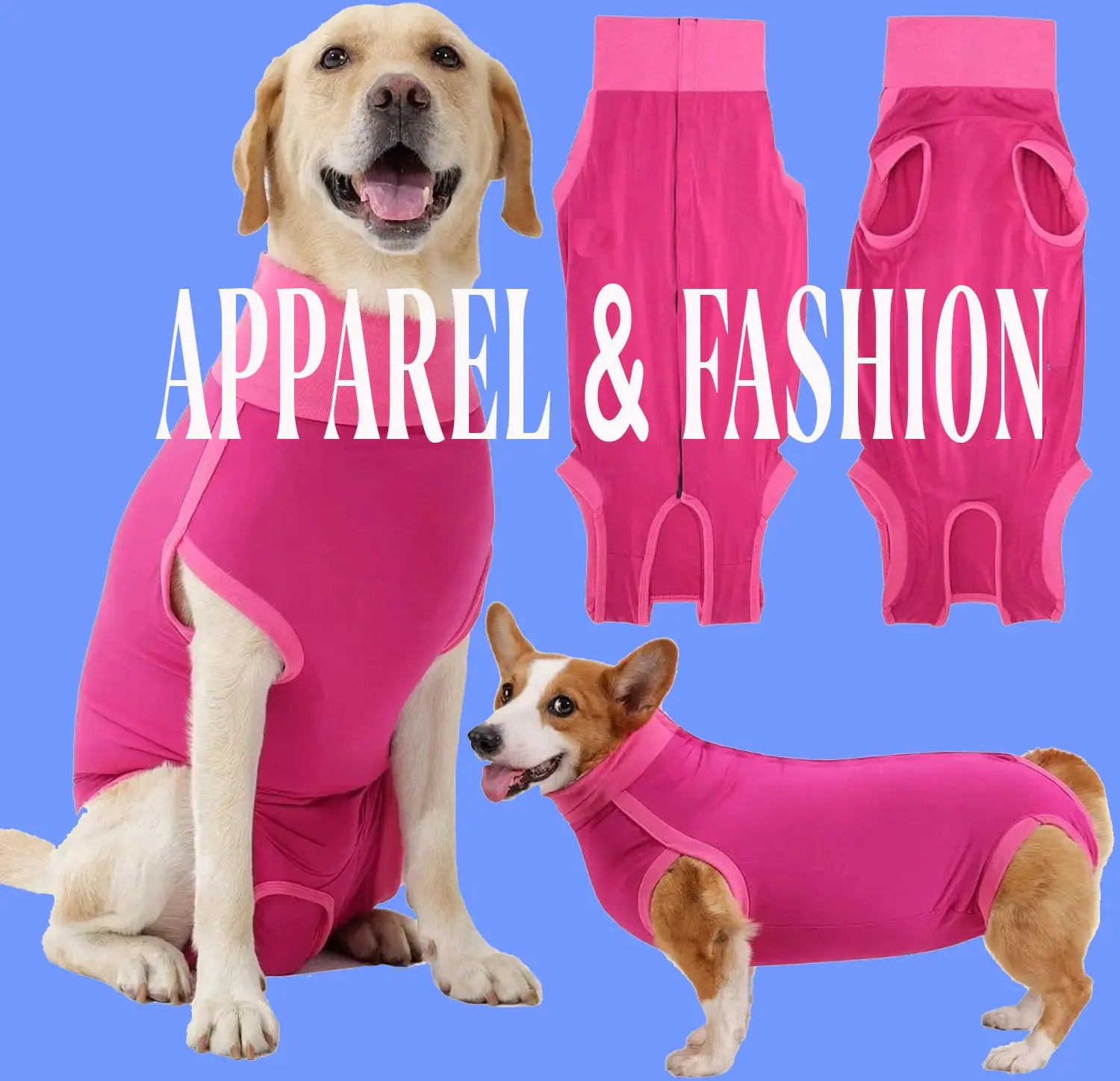 Apparel & Fashion