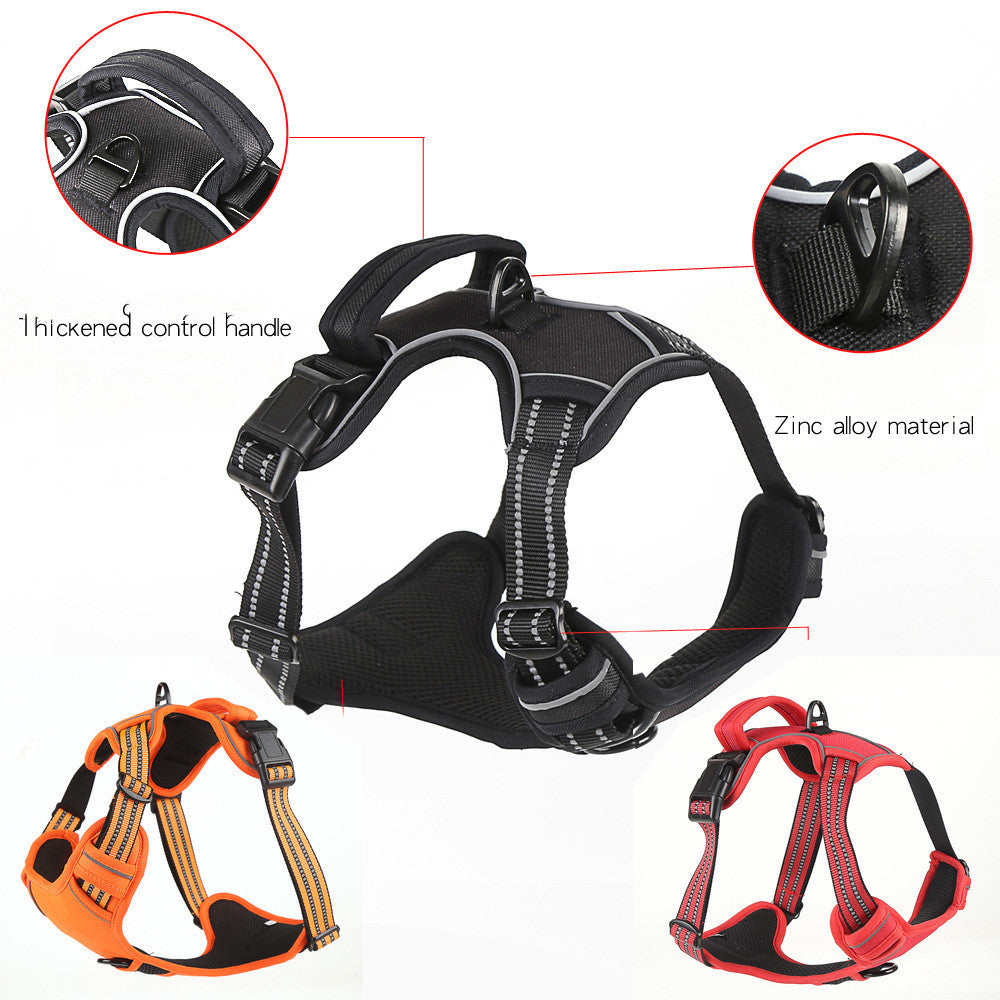 Dog harness with detailed features and color options on a white background