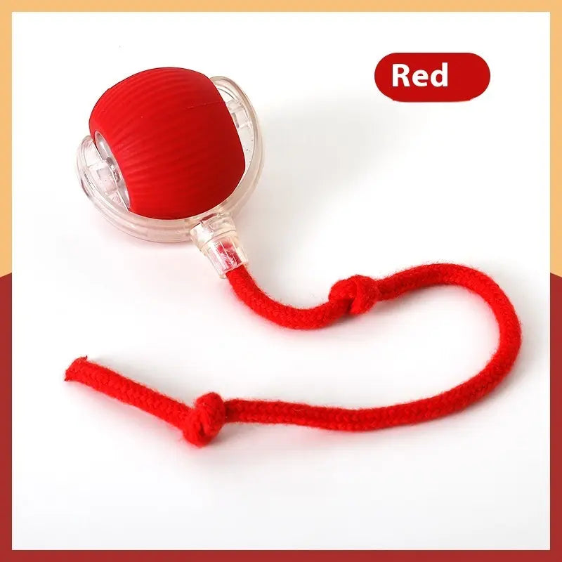 Red dog toy with a rope on a white background