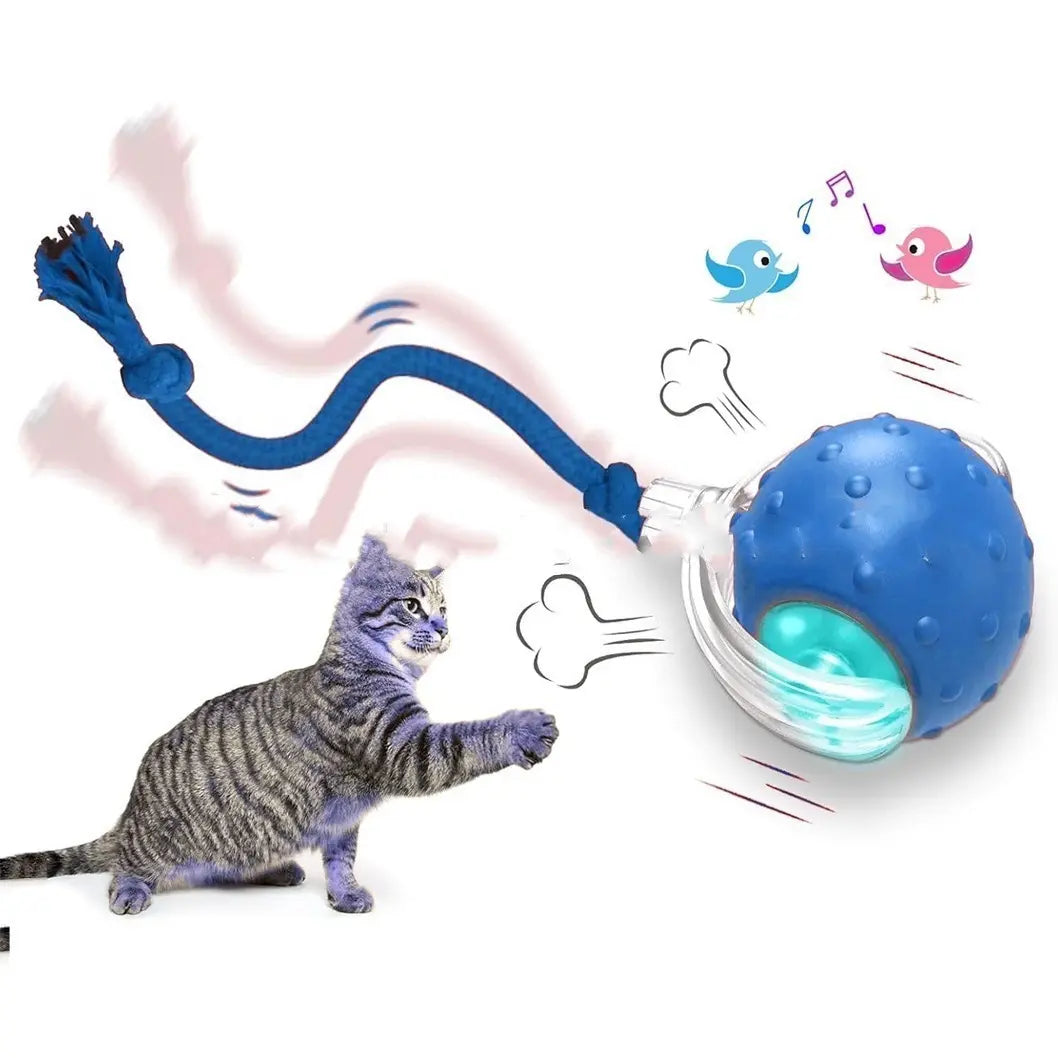 Cat toy with blue ball and rope, featuring a cat interacting with it on a white background.